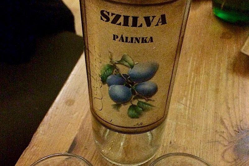 6 motivi per partecipare European solidarity corps - Palinka